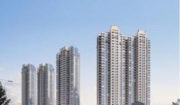 佛山都市爆料最新消息,揭秘都市生活新动态！